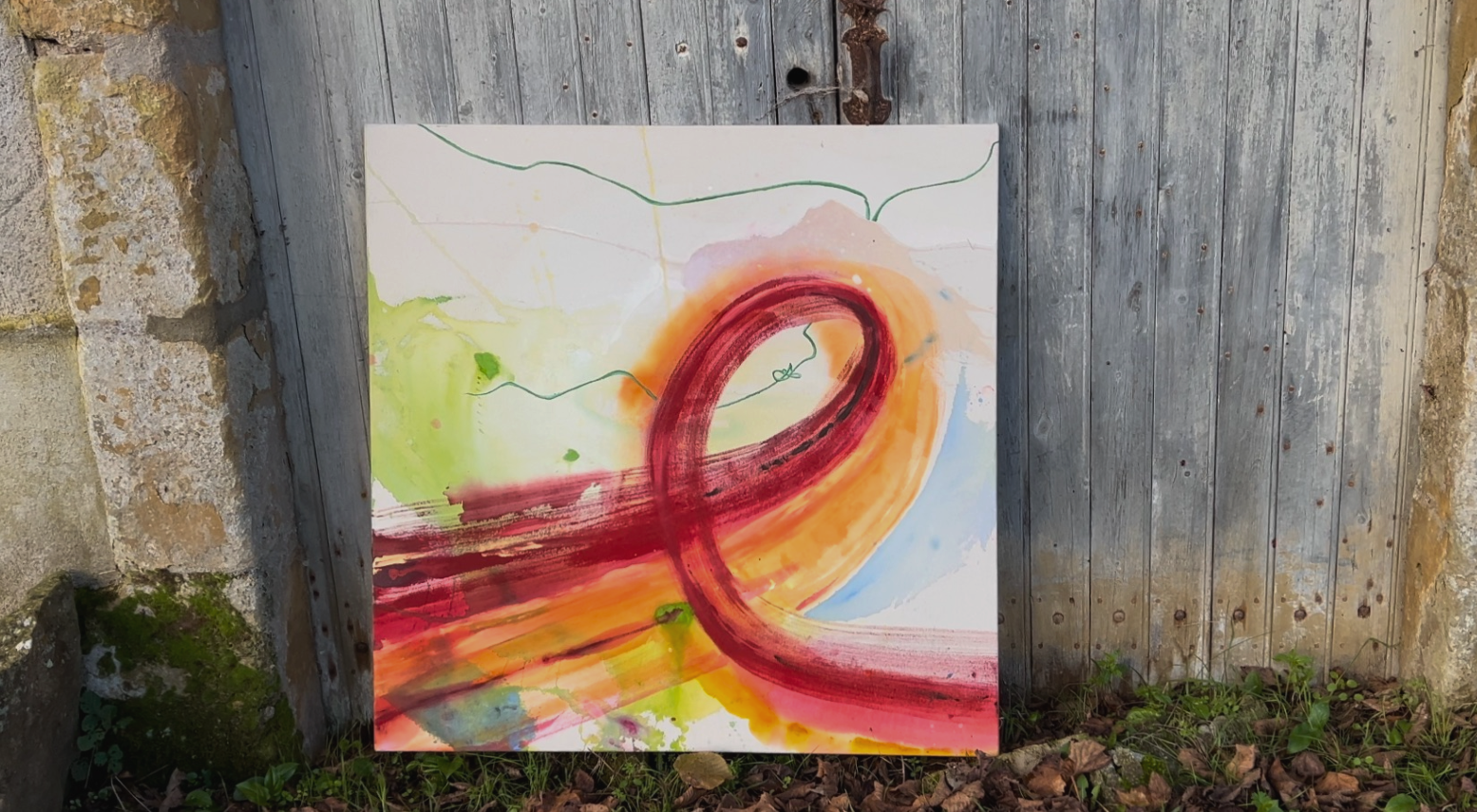 Where the Forest Meets the Field