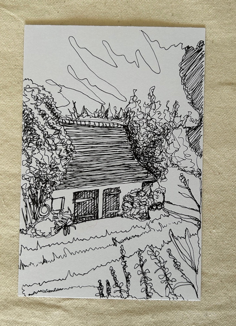 Dessin au trait de Geranium sanguin