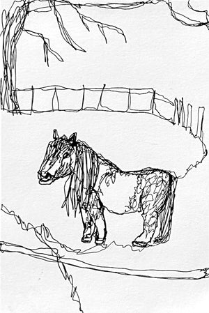 Framed Line Drawing "Yoshi the Pony"