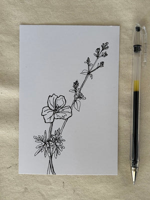 Bloody Crane's Bill Line Drawing