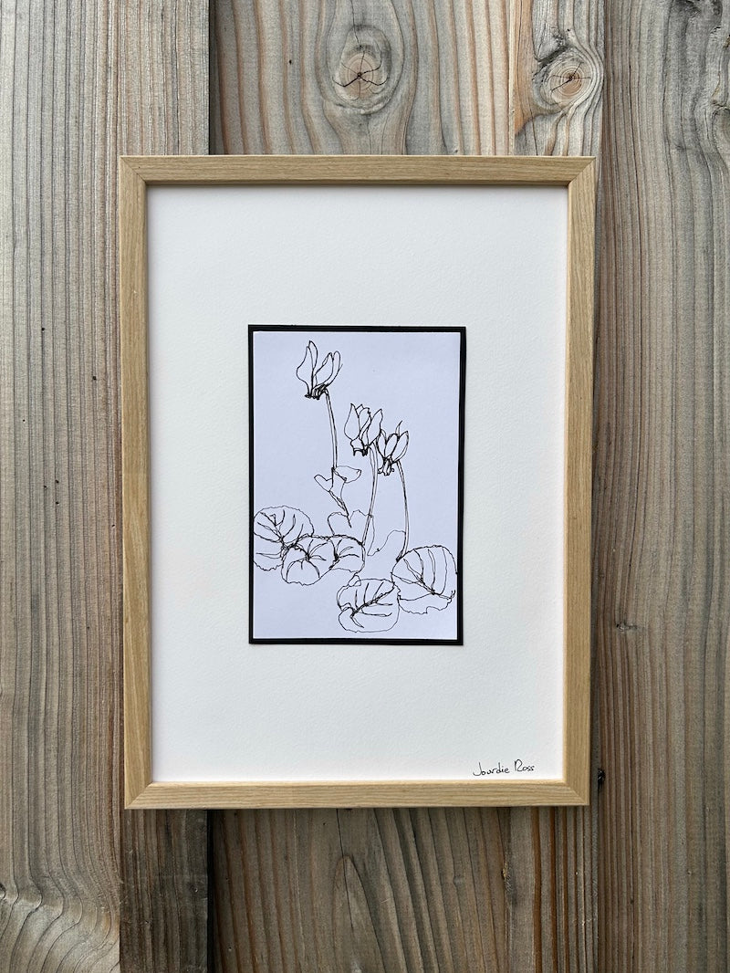Framed Line Drawing "Cyclamen"