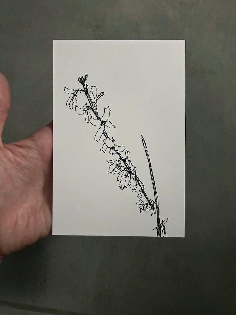 Daily Drawing, 365 Days