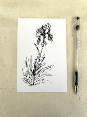 Lilac and Iris Single-Line Drawings, 365 Days of Drawing