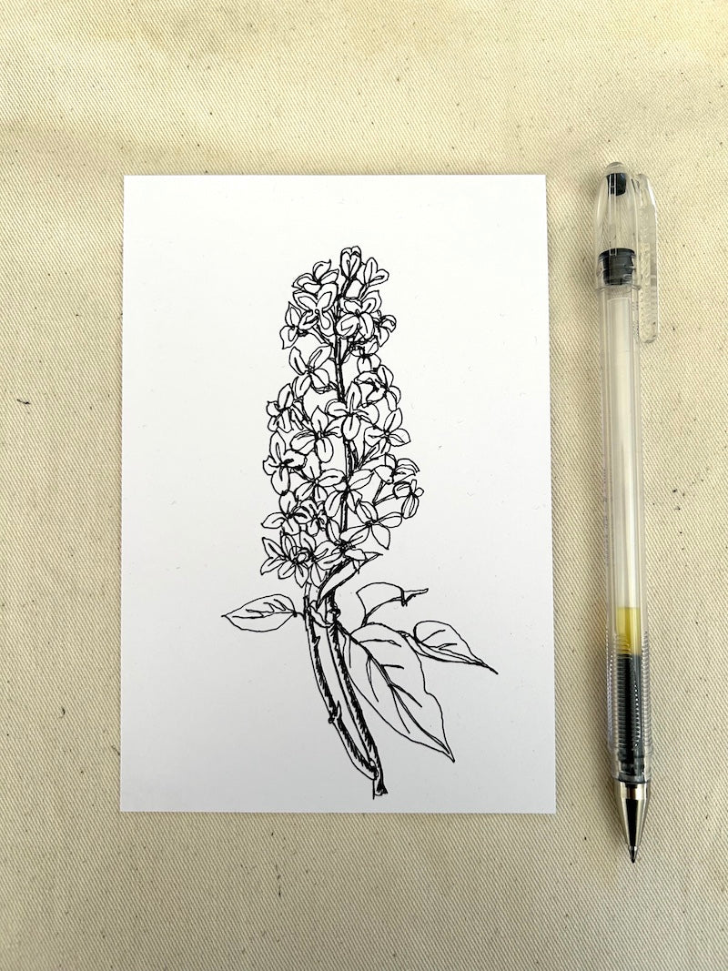 Lilac and Iris Single-Line Drawings, 365 Days of Drawing