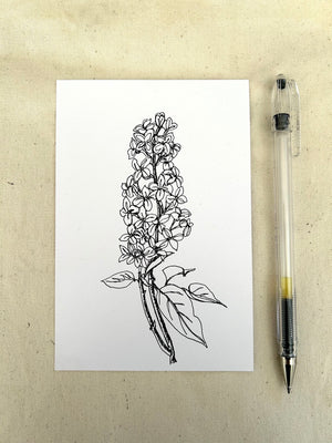 Lilac and Iris Single-Line Drawings, 365 Days of Drawing