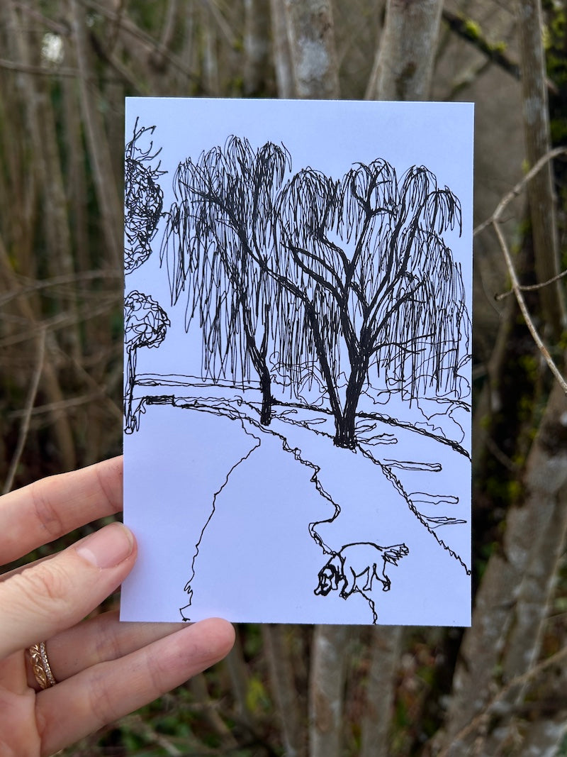 Daily Drawing, 365 Days