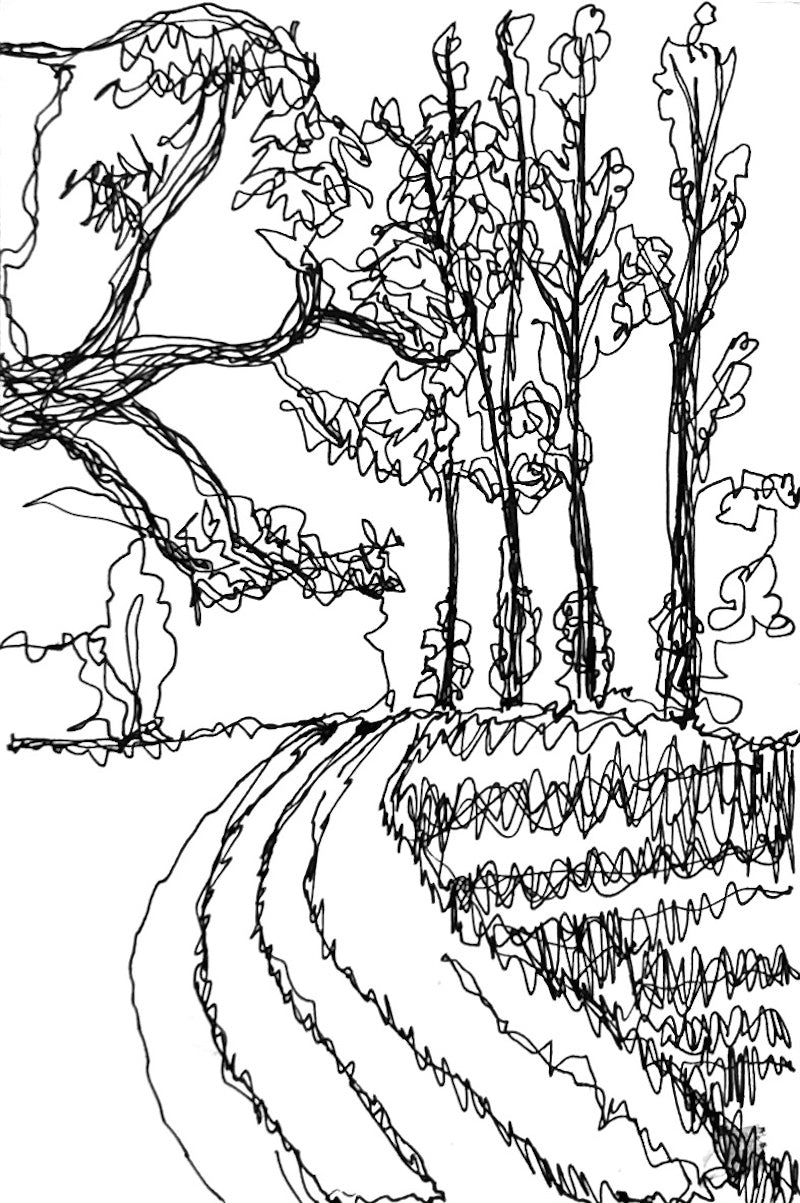 Framed Line Drawing "Path to the River"