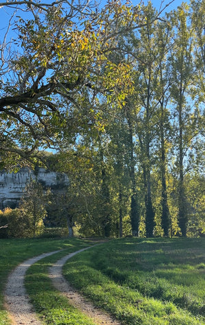 Framed Line Drawing "Path to the River"